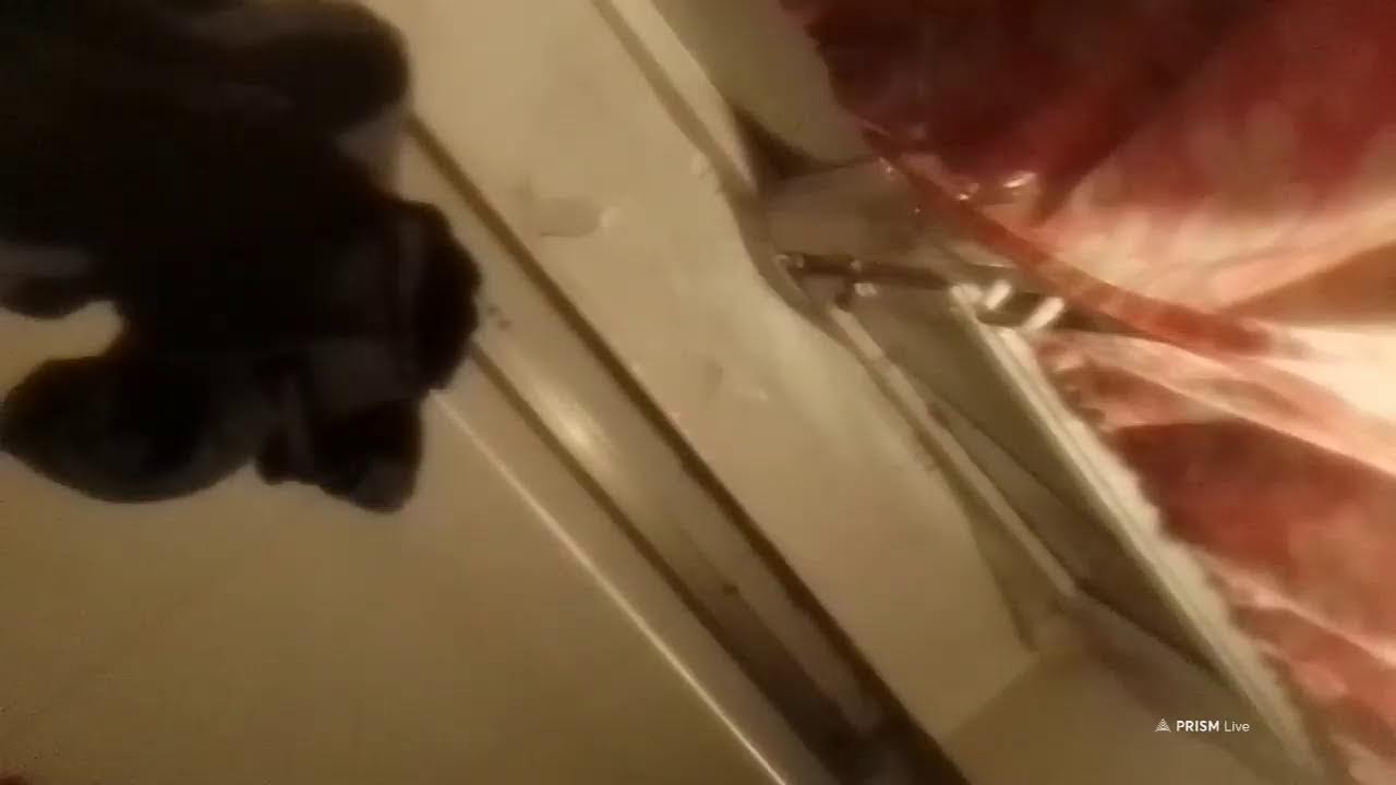 Кинконг — Прямая трансляция КИНГ КОНГ ЖИВ