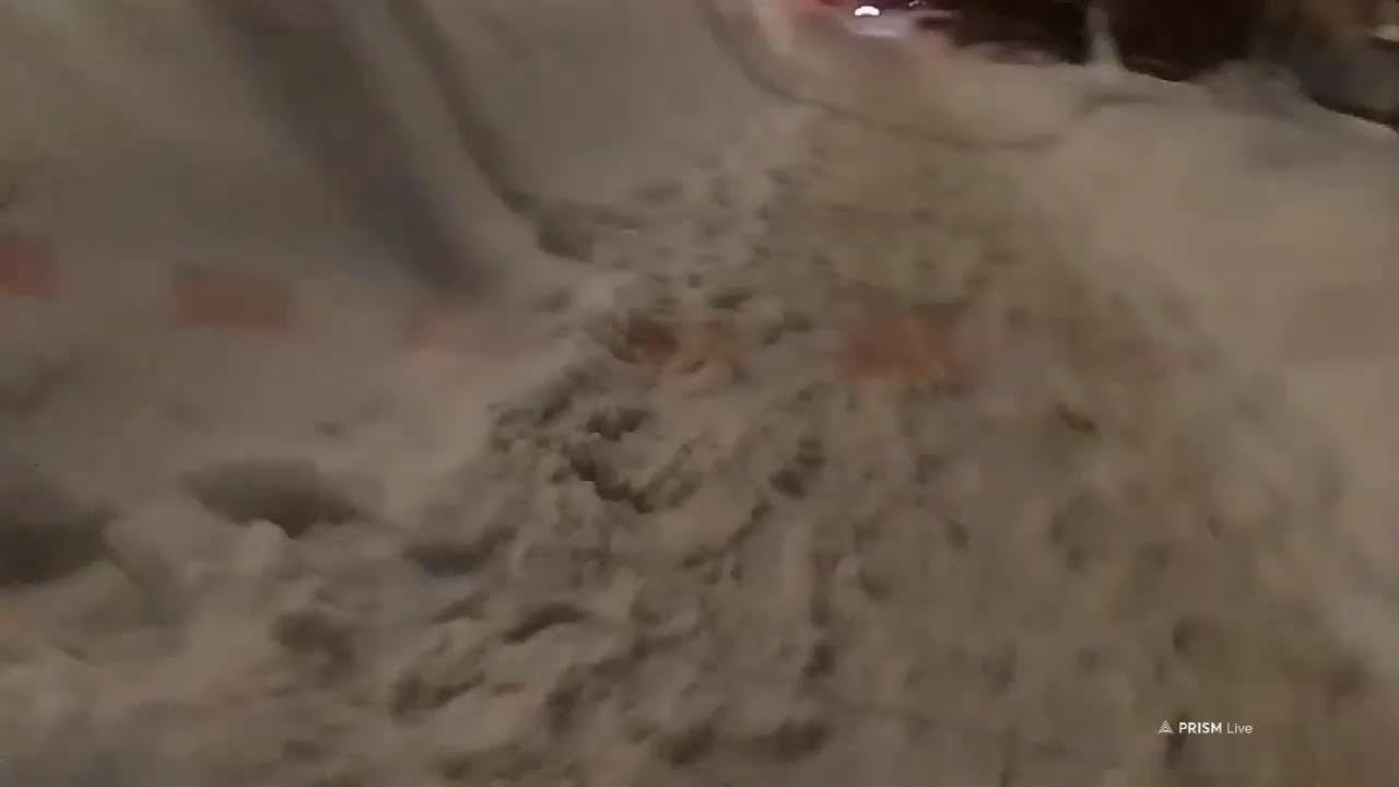 Кинконг — Прямая трансляция КИНГ КОНГ ЖИВ