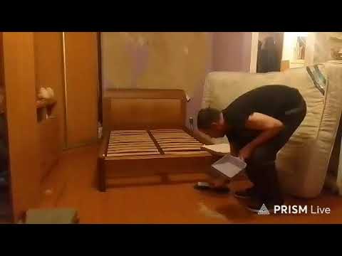 Кинконг — Прямая трансляция КИНГ КОНГ ЖИВ