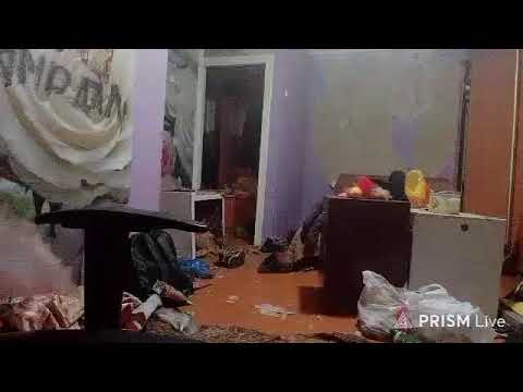 Кинконг — Прямая трансляция КИНГ КОНГ ЖИВ