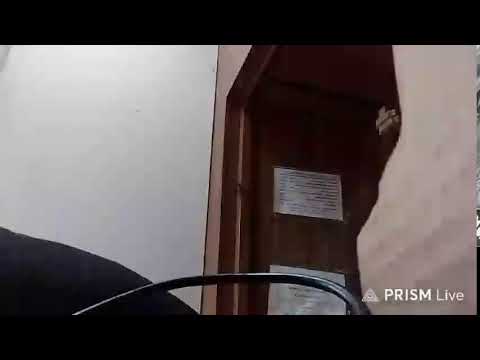 Кинконг — Прямая трансляция КИНГ КОНГ ЖИВ