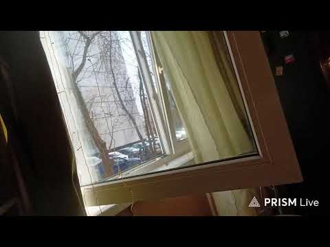 Прямая трансляция ШКОЛА СУК