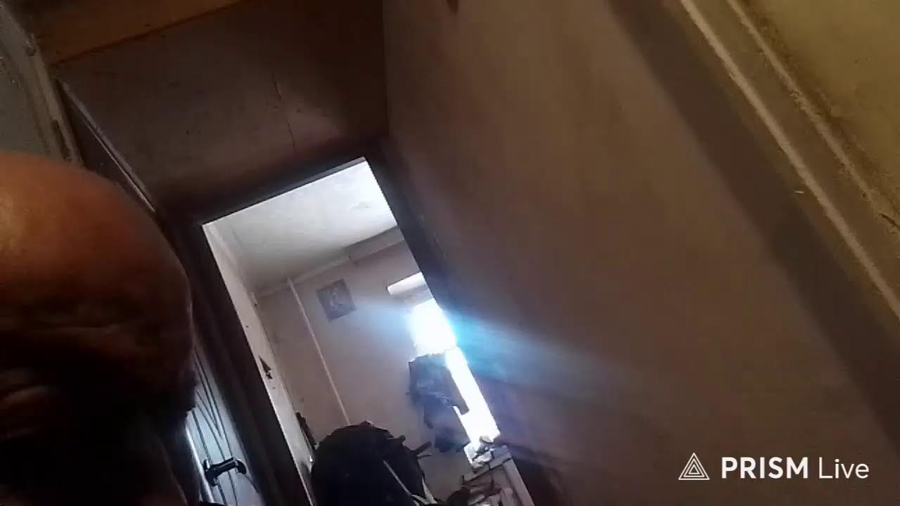 Кинконг — Прямая трансляция КИНГ КОНГ ЖИВ