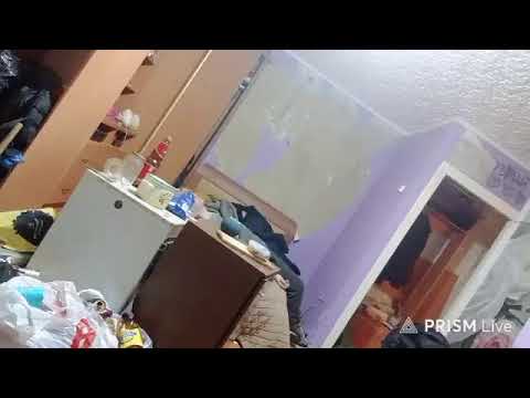 Кинконг — Прямая трансляция КИНГ КОНГ ЖИВ