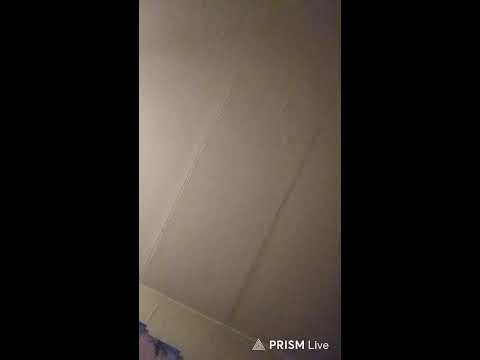 ГЕТКАКИ — Прямая трансляция САШКА ЗОЛОТОЙ ДОЖДИК