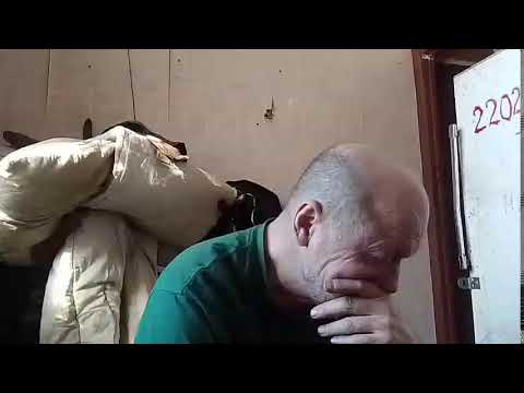 Кинконг — КИНГ  КОНГ  ЖИВ