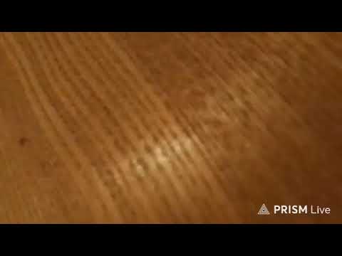 Кинконг — Прямая трансляция КИНГ КОНГ ЖИВ