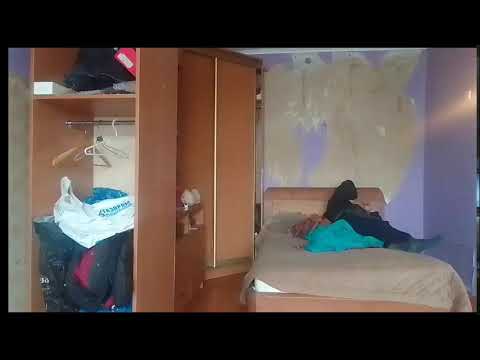 Кинконг — КИНГ КОН Г ЖИВ