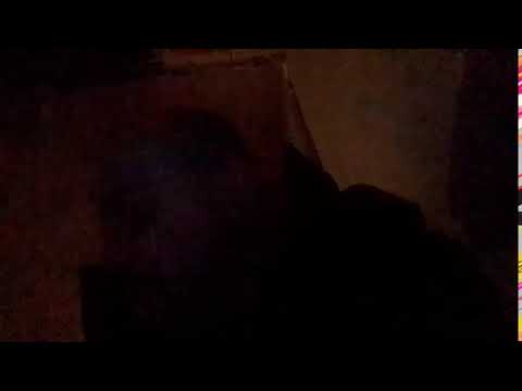 Кинконг — КИНГ КОНГ ЖИВ