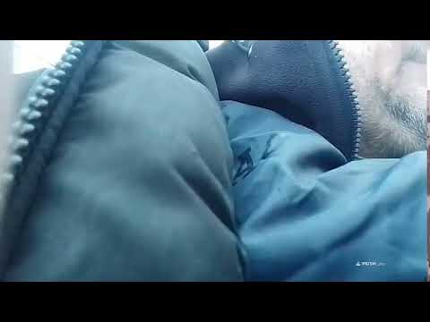 Кинконг — Прямая трансляция КИНГ КОНГ ЖИВ