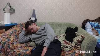 Костик 357 — Persus Stream