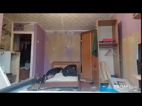 Кинконг — Прямая трансляция КИНГ КОНГ ЖИВ