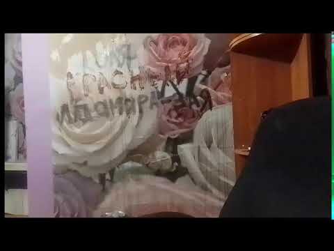 Кинконг — КИНКОНГ  ЖИВ