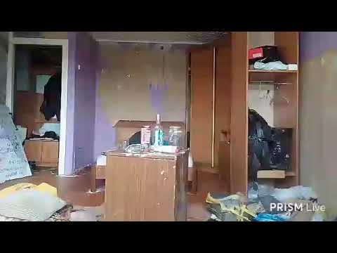 Кинконг — Прямая трансляция КИНГ КОНГ ЖИВ