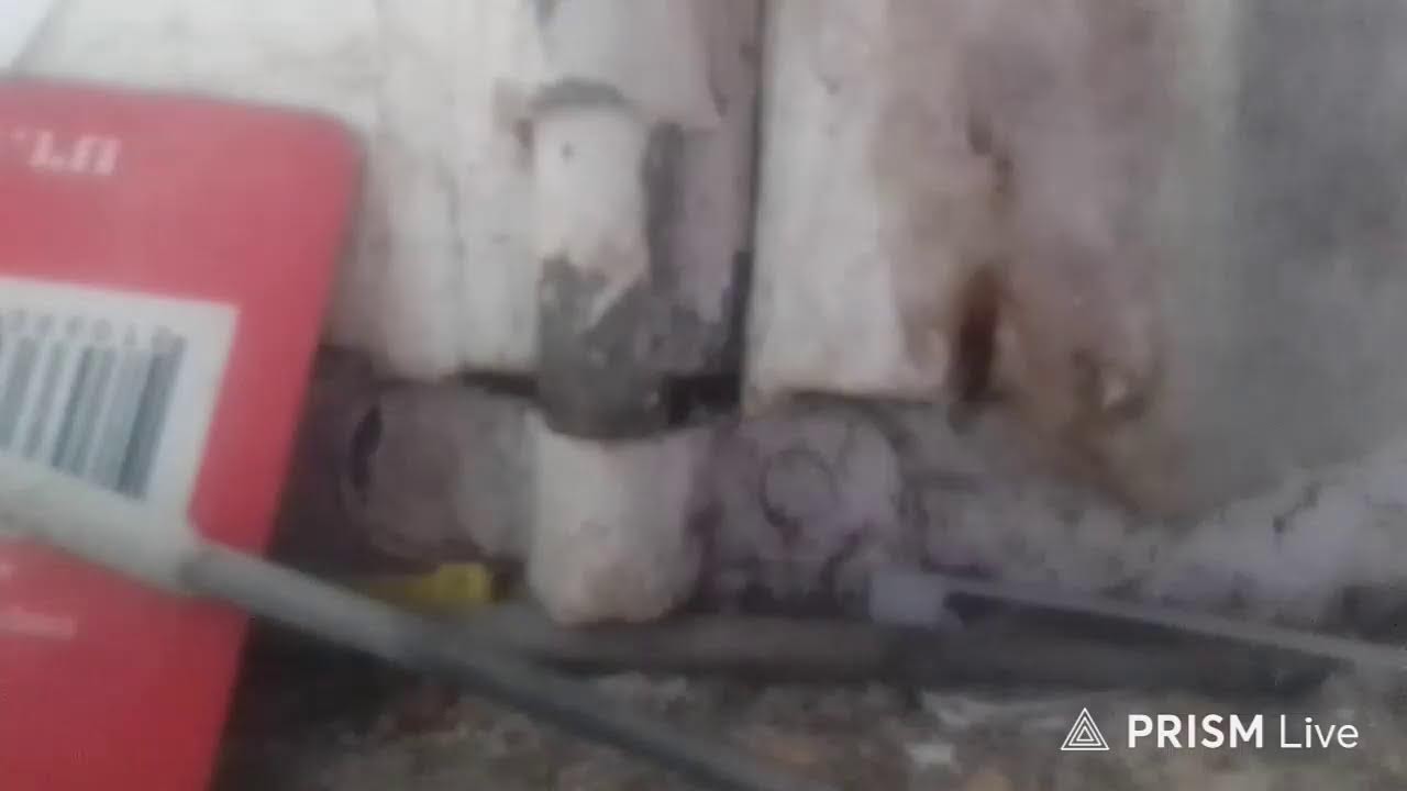 Кинконг — Прямая трансляция КИНГ КОНГ ЖИВ