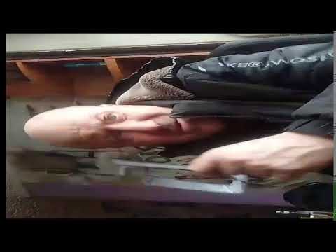 Кинконг — КИНГ КОН Г ЖИВ