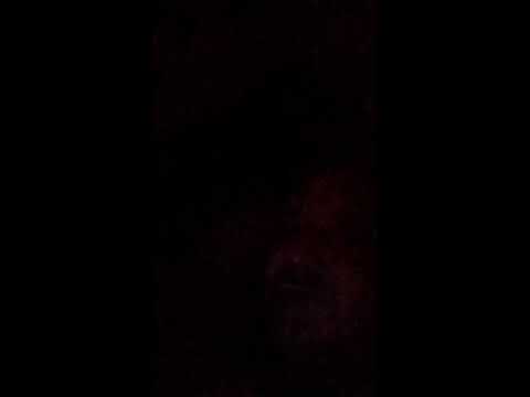 Кинконг — КИНГ КОН Г ЖИВ