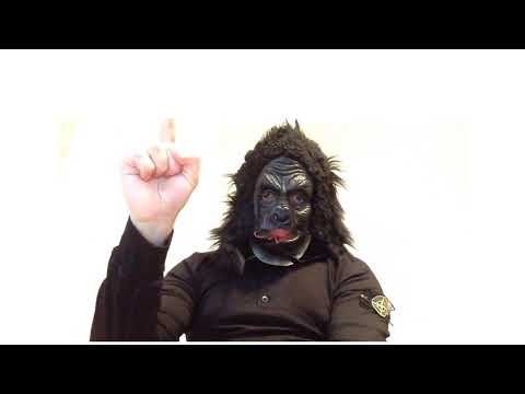 Кинконг — КИНГ КОН Г ЖИВ