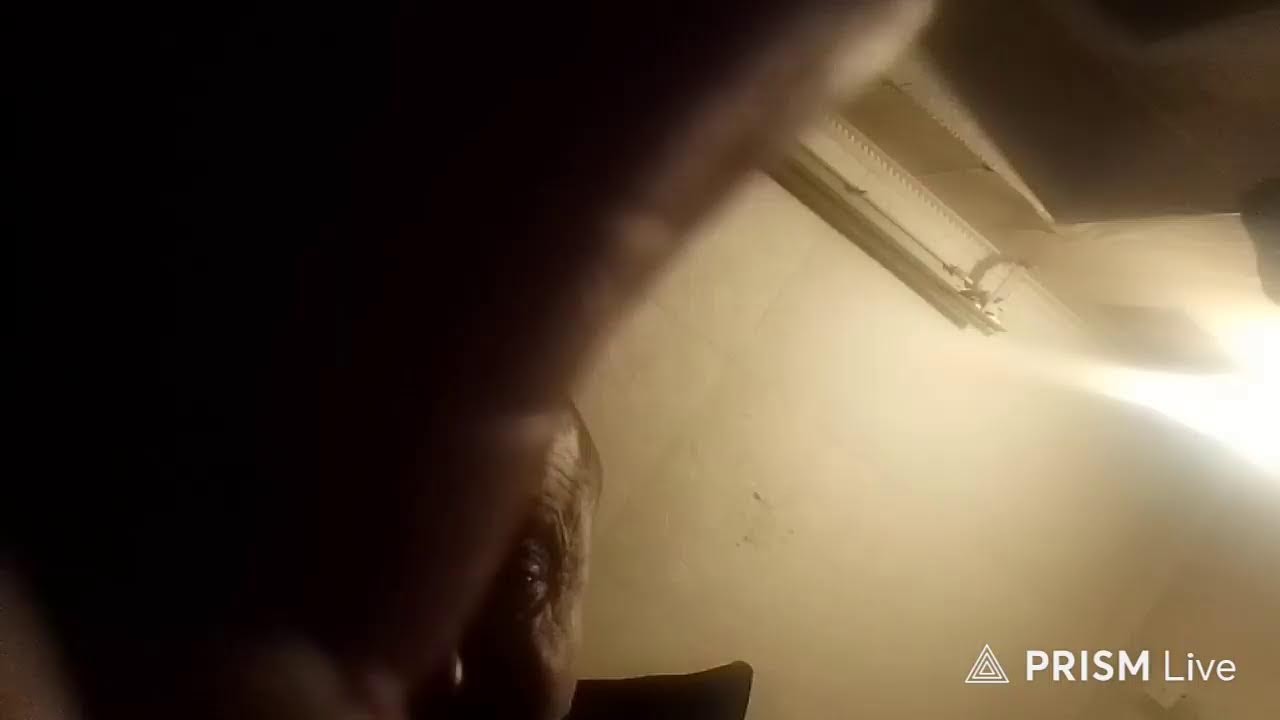 Кинконг — Прямая трансляция КИНГ КОНГ ЖИВ