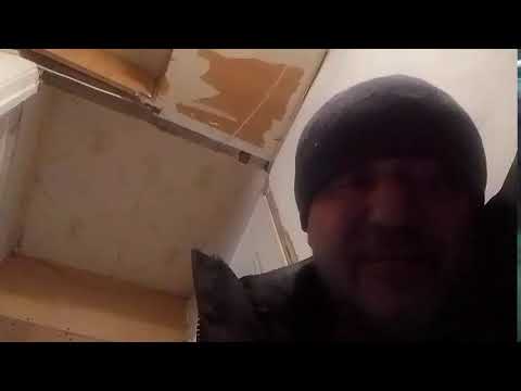 Кинконг — КИНГ КОНГ ЖИВ