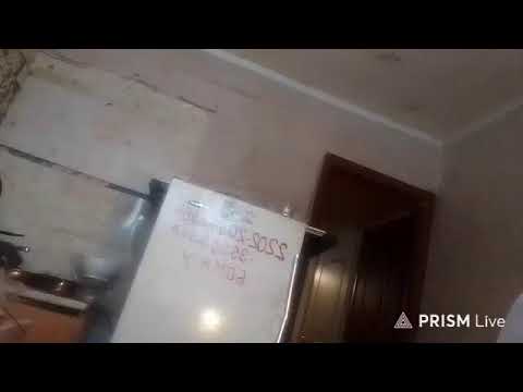 Кинконг — Прямая трансляция КИНГ КОНГ ЖИВ