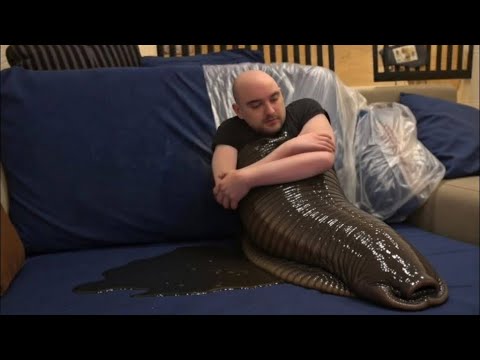 ОТБЫВАЕМ НА ВОКЗАЛ