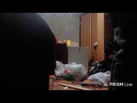 Кинконг — Прямая трансляция КИНГ КОНГ ЖИВ