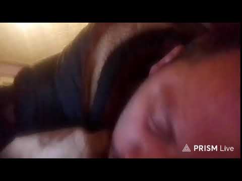 Кинконг — Прямая трансляция КИНГ КОНГ ЖИВ