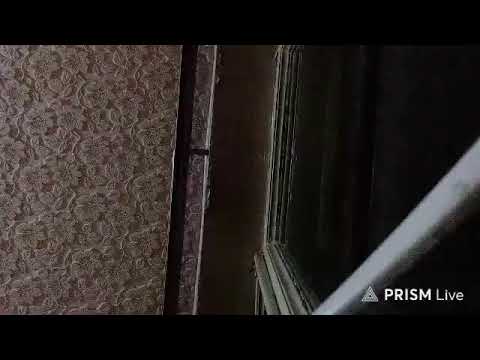 Кинконг — Прямая трансляция КИНГ КОНГ ЖИВ