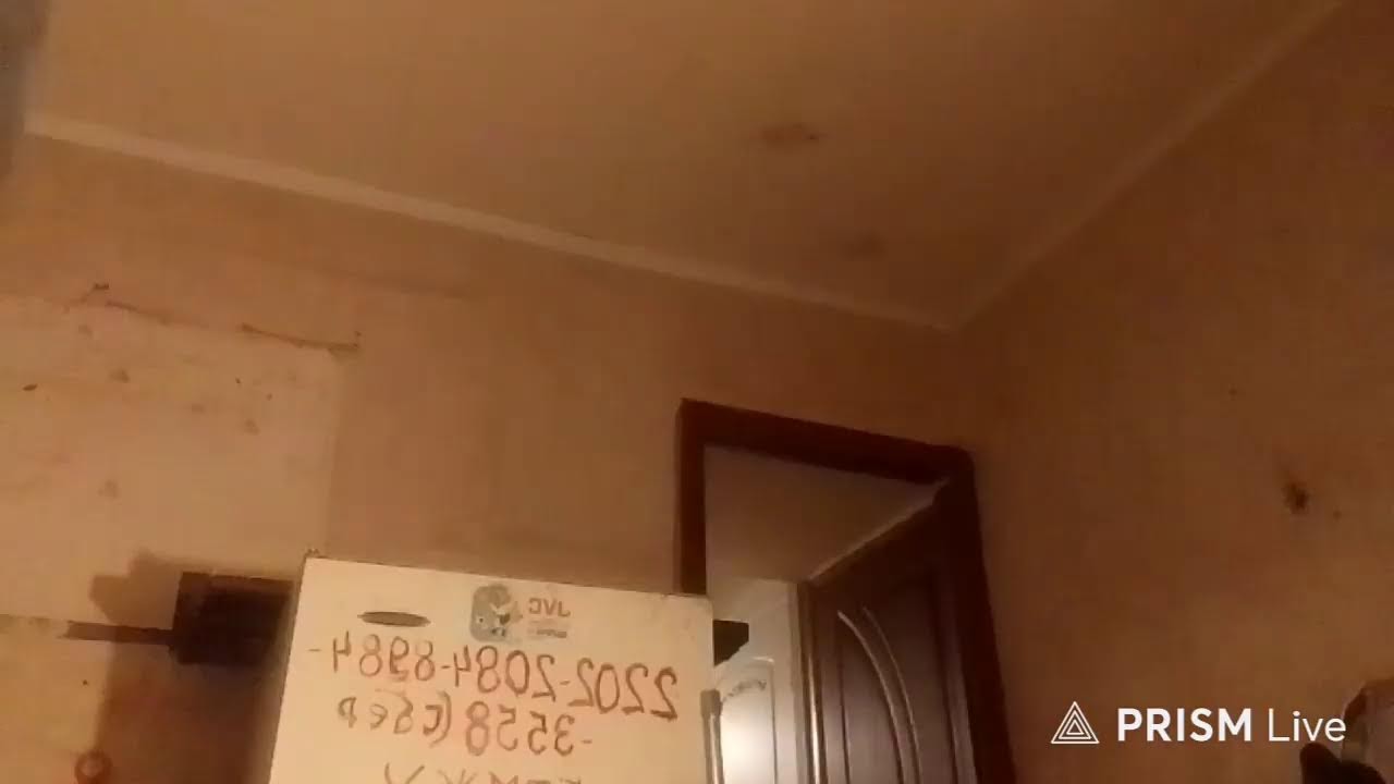 Кинконг — Прямая трансляция КИНГ КОНГ ЖИВ