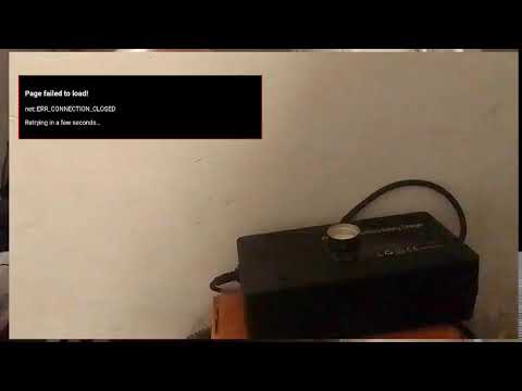 Кинконг — КИНГ КОН Г ЖИВ