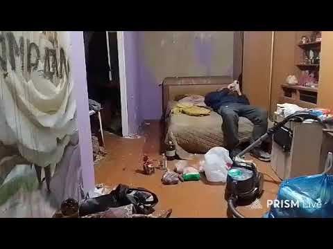 Кинконг — Прямая трансляция КИНГ КОНГ ЖИВ