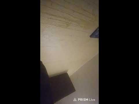 Прямая трансляция САШКА ЗОЛОТОЙ ДОЖДИК