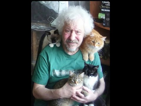 привет, ромашки