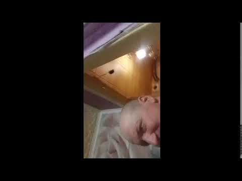 Кинконг — КИНГ КОНГ  ЖИВ