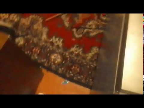 Кинконг — КИНГ  КОНГ ЖИВ