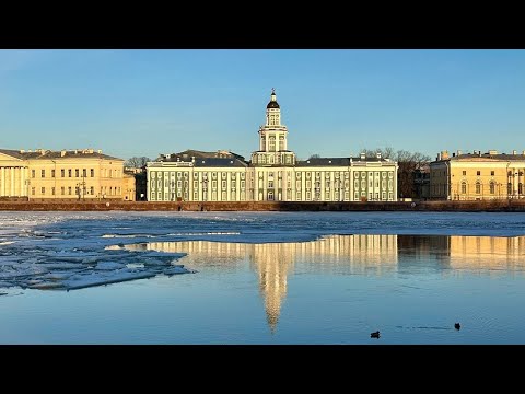 Вернувшись в Питер