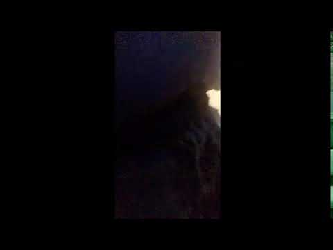 Кинконг — КИНГ КОНГ  ЖИВ